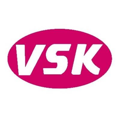 VANSKEE Pte Ltd. Logo