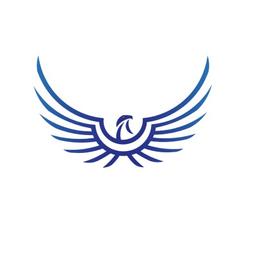 Eagle-Eye Aerial Solutions LLC Logo