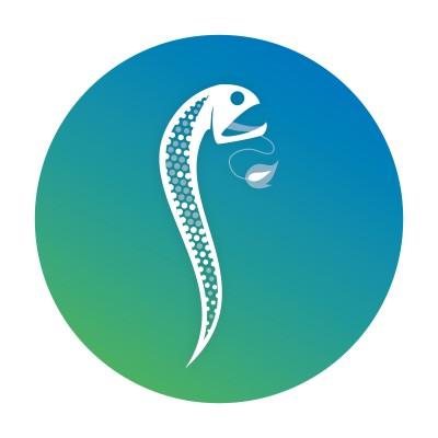 Dragonfish Analytics Logo