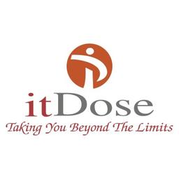 ITDOSE INFOSYSTEMS Pvt. Ltd. Logo