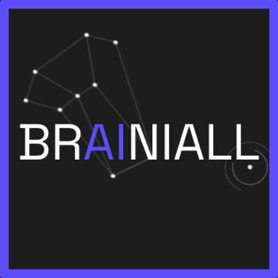 BRAINIALL INC Logo