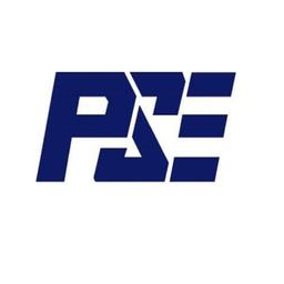 Progressive Systems & Engineering Pte Ltd Logo