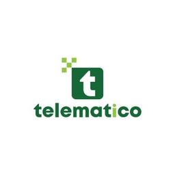 TELEMATiCO CORPORATION Logo