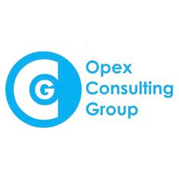 Opex Consulting Group (Opex Consulting & Opex Technology) Logo