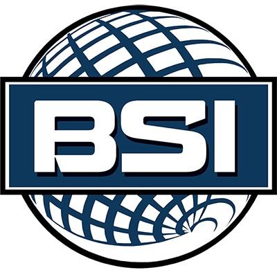 Babbitting Service Inc. (BSI)'s Logo