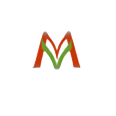 Maven Enterprise Solutions and Consulting Services Logo