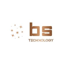 Brain Stars Technology Logo