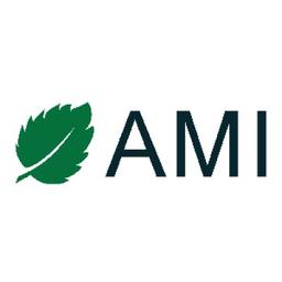 AMI (Application Management Inc.) Logo