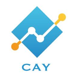 CAY CONSULTING Logo