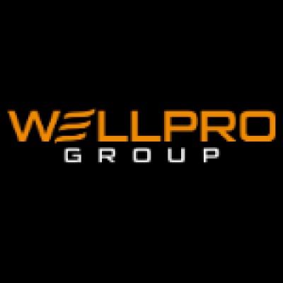 Wellpro Group Logo