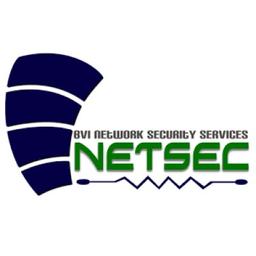 BVI NETWORK SECURITY SERVICES Logo