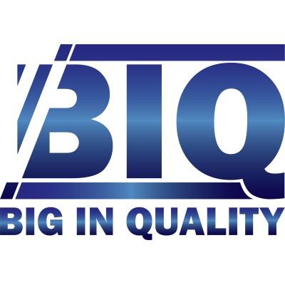 BIQ NV Logo