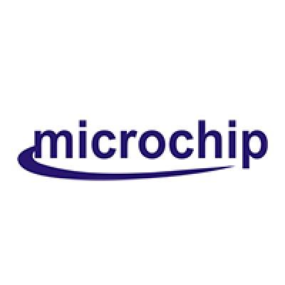 Microchip Infotech Systems Pvt. Ltd Logo
