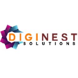 Diginest Solutions Private Limited Logo