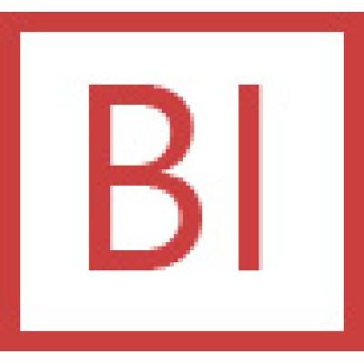 bi-solutions.pl Logo