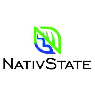 NativState Logo