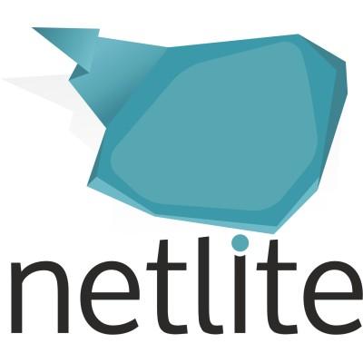 Netlite IT Logo