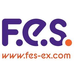 F.E.S. (EX) Limited Logo