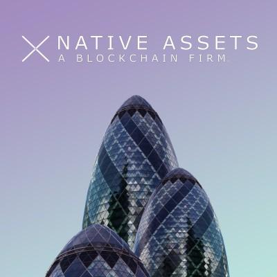 Native Assets: A Blockchain Firm Logo