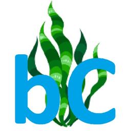 Blue Carbon Services Logo