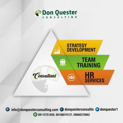 Don Quester Consulting Logo
