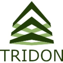Tridon Group Logo