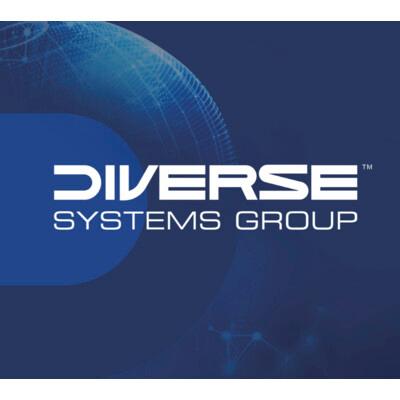 Diverse Systems Group LLC Logo