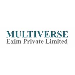 Multiverse Exim Private Limited Logo