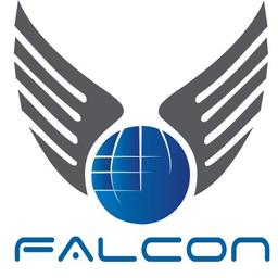 Falcon18 Imports Pvt. Ltd. Logo