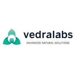 VedraLabs Ltd Logo