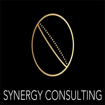 Synergy Consulting Human Resources Logo