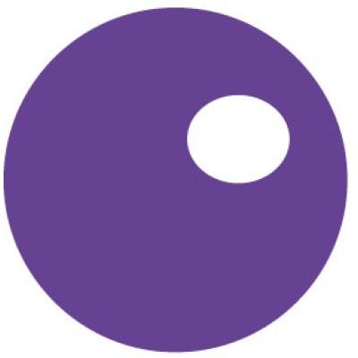 Bigpyx - Agencia de Marketing Digital y Desarrollo IT Logo