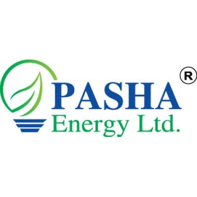 PASHA ENERGY LIMITED Logo