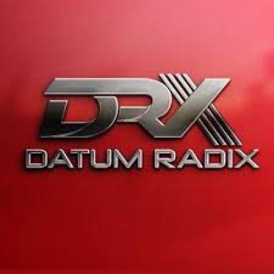 Datum Radix LLC Logo