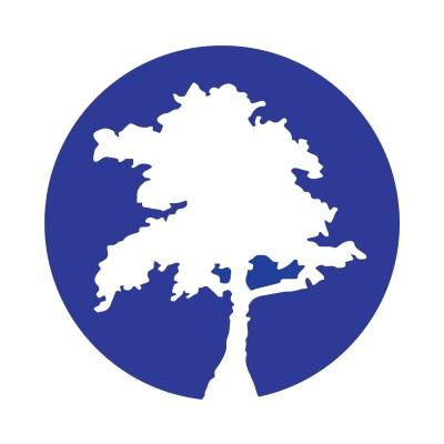 Blue Cypress Consulting LLC Logo