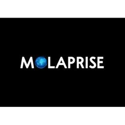 Molaprise Logo
