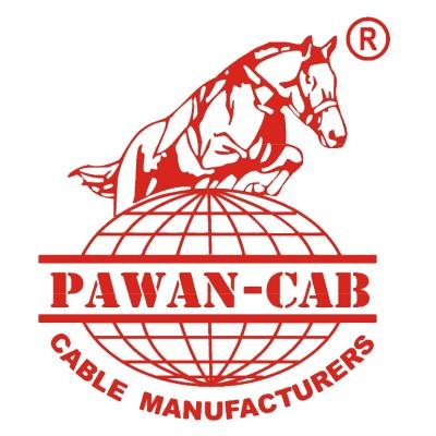 Pawan Power & Telecom Limited Logo