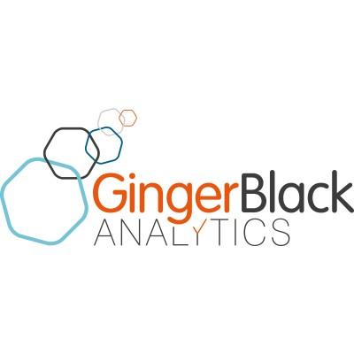 Ginger Black Analytics Logo