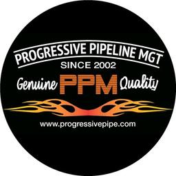 Progressive Pipeline Management (PPM) Logo