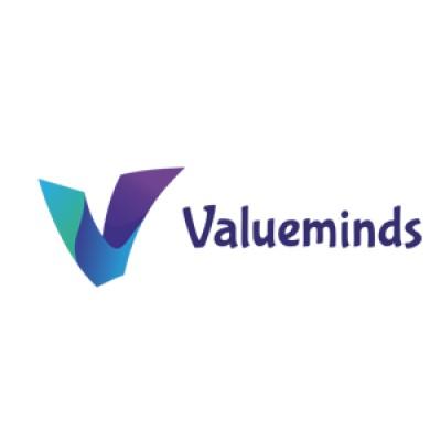 Valueminds Techno Solutions Pvt Ltd Logo
