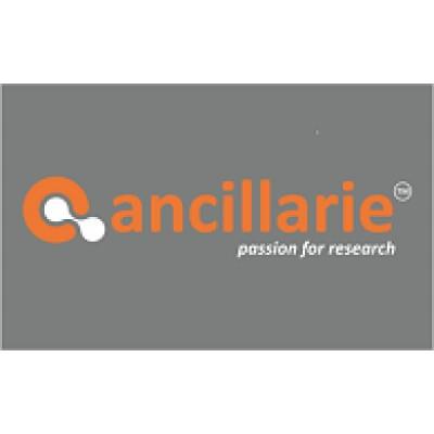 ancillarie Logo