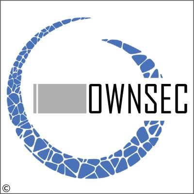 OwnSec - InfoSec Consultancy Logo