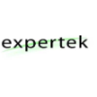 Expertek Systems Inc. Logo