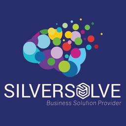 Silver Solve Logo