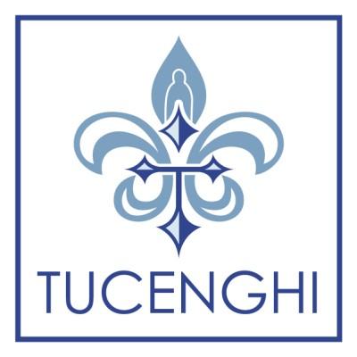 Tuceghi Business Consulting Logo