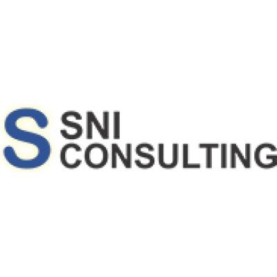 SNI Consulting Logo