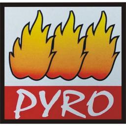 PYRO INDUSTRIAL CONTROLS Logo