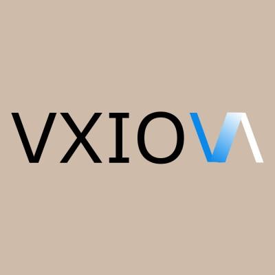 VXION Logo