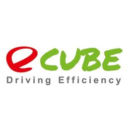 E-CUBE Energy Infra Services Pvt Ltd Logo