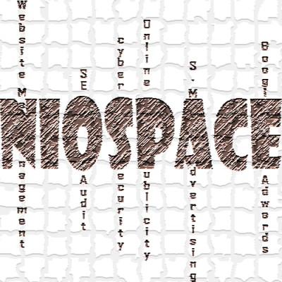Niospace (Web design development & digital marketing)'s Logo